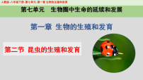 人教版（2024）八年级下册第二节 昆虫的生殖和发育优秀课件ppt