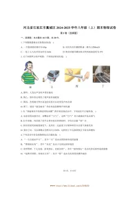 2024～2025学年河北省石家庄市藁城区八年级(上)期末物理试卷(含解析)