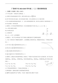 广西南宁市2024-2025学年高二（上）期末物理试卷(含解析)