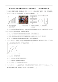 2024-2025学年安徽省合肥市六校联考高一（上）期末物理试卷