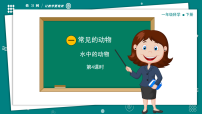 教科版（2024）4.水中的动物完整版教学ppt课件