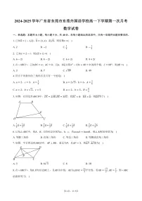 广东省东莞市东莞外国语学校2024-2025学年高一下学期第一次月考数学试卷（3月）（含答案）