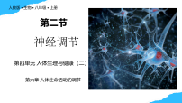 初中人教版（2024）第二节 神经调节试讲课教学课件ppt
