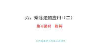 数学北师大版（2024）植树授课ppt课件