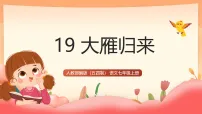 人教部编版 (五四制) 2024七年级上册（2024）19 大雁归来/利奥波德完美版课件ppt