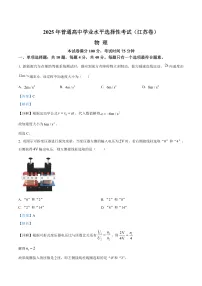2025年江苏省高考真题——物理（解析版）
