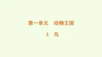 科学青岛版（六三制）(2024)第一单元 动物王国3 鸟优质课ppt课件