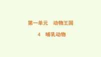 小学科学第一单元 动物王国4 哺乳动物获奖课件ppt
