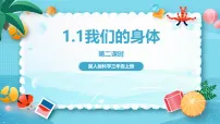 小学科学冀人版（2024）三年级上册（2024）第一单元 奇妙的身体1 我们的身体评优课课件ppt