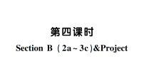 人教版（2024）八年级上册（2024）Unit 5 What a Delicious Meal! Section B作业课件ppt