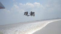 小学语文统编版（2024）四年级上册观潮说课课件ppt