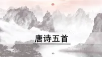 人教部编版（2024）八年级上册（2024）钱塘湖春行/白居易图片ppt课件