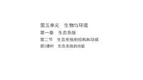 人教版（2024）八年级上册（2024）第二节 生态系统的结构和功能备课课件ppt
