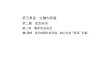 人教版（2024）八年级上册（2024）第二节 维护生态安全集体备课课件ppt