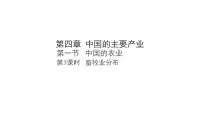 初中地理湘教版（2024）八年级上册（2024）第一节 中国的农业课前预习ppt课件