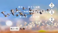 2026届高三生物一轮复习课件 第1课时 走近细胞