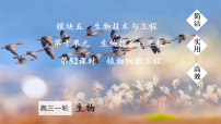 2026届高三生物一轮复习课件 第52课时 植物细胞工程