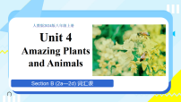英语八年级上册（2024）Unit 5 What a Delicious Meal! Section A 2a-2d教课内容ppt课件