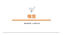 学前教育大班《榴莲》课件