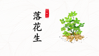小学语文统编版（2024）五年级上册落花生集体备课ppt课件