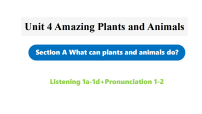 初中英语人教版（2024）八年级上册（2024）Unit 4 Amazing Plants and Animals Section A Pronunciation集体备课ppt课件