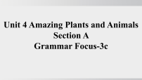 初中英语人教版（2024）八年级上册（2024）Unit 4 Amazing Plants and Animals Section A评课ppt课件