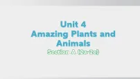 初中英语人教版（2024）八年级上册（2024）Unit 4 Amazing Plants and Animals Section A备课课件ppt
