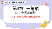 湘教版（2024）4.3 全等三角形背景图ppt课件