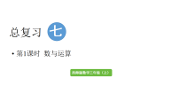 西师大版（2024）第七单元 总复习教学课件ppt