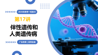 第17讲+伴性遗传和人类遗传病（复习课件）（广东专用）2026年高考生物一轮复习讲练测