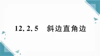 华东师大版（2024）八年级上册（2024）第12章 全等三角形12.2 三角形全等的判定5. 斜边直角边习题课件ppt