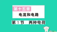 初中物理人教版（2024）九年级全册电流和电路作业课件ppt