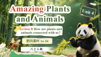 初中英语Unit 4 Amazing Plants and Animals Section B 1a-1f课堂教学ppt课件