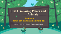 初中英语人教版（2024）八年级上册（2024）Unit 4 Amazing Plants and Animals Section A Grammar Focus教学演示课件ppt