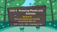 初中英语人教版（2024）八年级上册（2024）Unit 4 Amazing Plants and Animals Section B Vocabulary in Use课文内容ppt课件