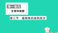生物七年级上册（2024）植物体的结构层次作业ppt课件