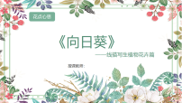 学前教育大班《向日葵》课件