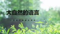 初中语文人教部编版（2024）八年级下册大自然的语言课堂教学ppt课件