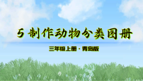 青岛版（六三制）(2024)三年级上册（2024）5 制作动物分类图册教课ppt课件