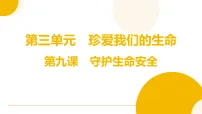 政治 (道德与法治)守护生命安全复习课件ppt