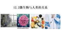 北师大版（2024）八年级上册（2024）微生物与人类的关系课前预习课件ppt