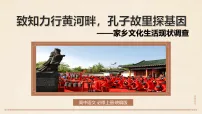语文必修 上册第四单元 家乡文化生活学习活动二 家乡文化生活现状调查教学ppt课件