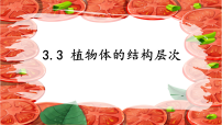 初中生物人教版（2024）七年级上册（2024）植物体的结构层次教课内容ppt课件