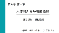 初中生物第一节 人体对外界环境的感知授课课件ppt