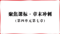 初中生物人教版（2024）八年级上册（2024）第七章 健康地生活习题ppt课件