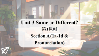 初中英语人教版（2024）八年级上册（2024）Unit 3 Same or Different? Section A课文内容课件ppt