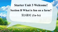 人教版（2024）七年级上册（2024）Unit 3 Welcome! Section B背景图课件ppt