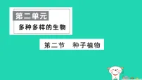 人教版（2024）七年级上册（2024）种子植物作业课件ppt