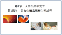 初中生物北师大版（2024）八年级上册（2024）人的生殖和发育教学课件ppt