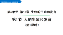 初中生物北师大版（2024）八年级上册（2024）人的生殖和发育课文内容ppt课件